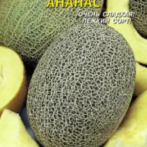 Дыня Ананас 05 г Плазменные семена 31₽
