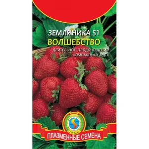 

Земляника Волшебство S1 10 шт, Плазменные семена