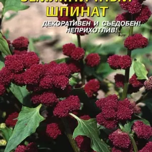 

Земляничный Шпинат 0,05 г, Плазменные семена