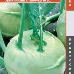 

Кольраби Коссак F1 10 шт, Плазменные семена