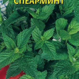 

Мята Спеарминт 0,0006 г, Плазменные семена