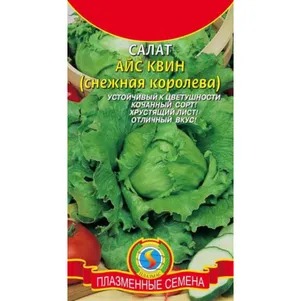 

Салат Айс Квин (Снежная королева) 0,5 г, Плазменные семена