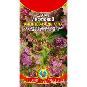 

Салат Вишневая дымка 0,5 г, Плазменные семена