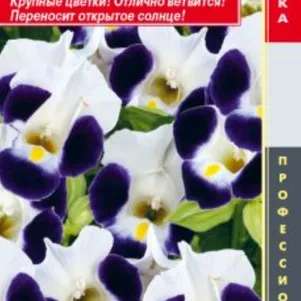 

Торения Маяк (серия Hi Lite) 4 шт, Плазменные семена