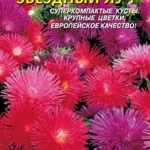 

Астра Звёздный луч 0,1 г, Плазменные семена