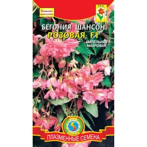 

Бегония Шансон Розовая F1 клубневая ампельная 10драже в пробирке, Плазменные семена