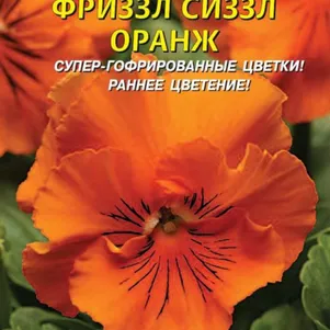 

Виола Фриззл Сиззл F1 Оранж 5шт, Плазменные семена