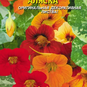 

Настурция Аляска, 9 шт, Плазменные семена