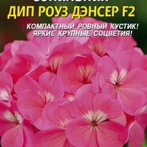 

Пеларгония зональная Дип роуз Дэнсер F2, 3 шт, Плазменные семена