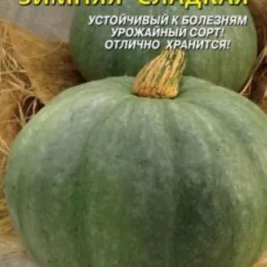 

Тыква Зимняя сладкая 2 г, Плазменные семена