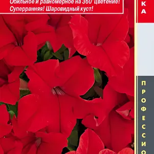 

Петуния крупноцветковая F1 (серия Success! 360) Ред 10 др, Плазменные семена