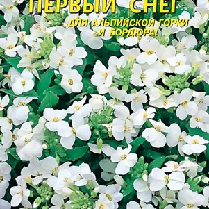 

Арабис Первый Снег 0,1 г, Плазменные семена