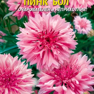 

Василек Пинк Бол 0,5 г, Плазменные семена