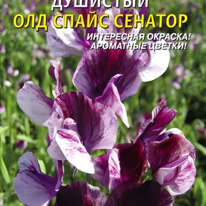 

Горошек душистый Олд Спайс Сенатор 0,4 г, Плазменные семена