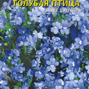 

Немезия Голубая птица 0,015г, Плазменные семена