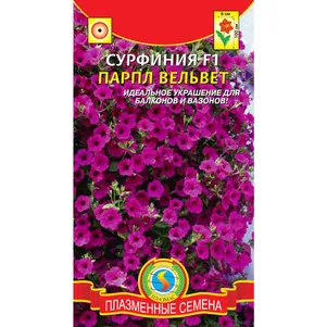 

Сурфиния Парпл Вельвет F1 5 драже в пробирке, Плазменные семена