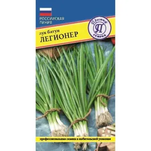 

Лук Батун Легионер (РС-1) 0,5 г, Семена Престиж