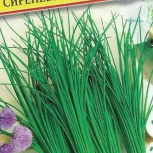 

Лук Шнитт Сиреневый звон 0,5 г, Семена Престиж