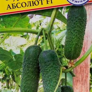

Огурец Абсолют F1 5 шт, Семена Престиж