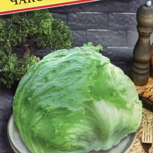 

Салат Чаконера F1 кочанный 5 драже, Семена Престиж