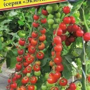 

Томат Бамбино F1 5 шт, Семена Престиж