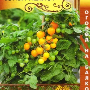 

Томат Бэйби Йеллоу F1 карликовый 5 шт, Плазменные семена