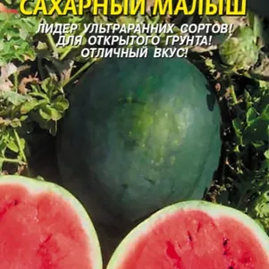 Арбуз Сахарный малыш 1 г Плазменные семена 29₽