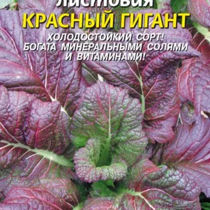 Горчица Красный Гигант листовая 05 г Плазменные семена 28₽
