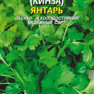Кинза Кориандр Янтарь 2 г Плазменные семена 26₽