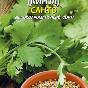 Кинза Кориандр Санто 2 г Плазменные семена 30₽