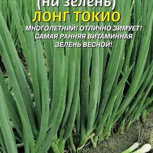 

Лук Батун Лонг Токио 0,4 г, Плазменные семена