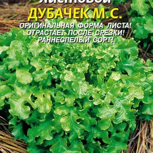 

Салат Дубачек М.С. листовой 0,45 г, Плазменные семена