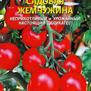 

Томат Садовая жемчужина 0,1 г, Плазменные семена