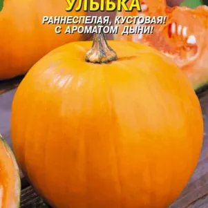 Тыква Улыбка 8 шт Плазменные семена 29₽