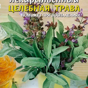 

Шалфей Целебная трава лекарственный 0,2 г, Плазменные семена