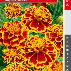 

Бархатцы Бонанза Пчелка отклоненные 10шт, Плазменные семена