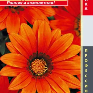 

Гацания Бронзовая F1 (серия New Day) 5шт, Плазменные семена