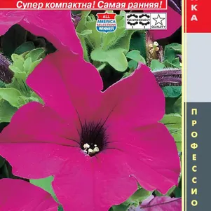 

Петуния Лимбо Вайолет крупноцветковая F1 (серия Limbo) 10 шт, Плазменные семена