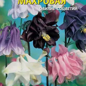 

Аквилегия махровая 0,1 г, Плазменные семена