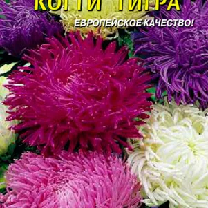 

Астра Когти тигра 0,3 г, Плазменные семена