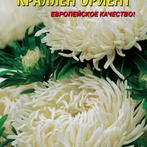 

Астра Ориент Краллен 0,3 г, Плазменные семена