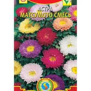 

Астра Матсумото смесь 0,2 г, Плазменные семена