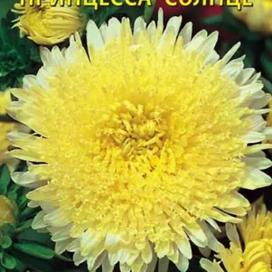 

Астра Принцесса Солнце 0,2 г, Плазменные семена