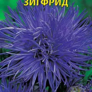 

Астра Харц Зигфрид 0,3 г, Плазменные семена