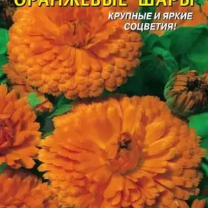 

Календула Оранжевые шары 0,3 г, Плазменные семена