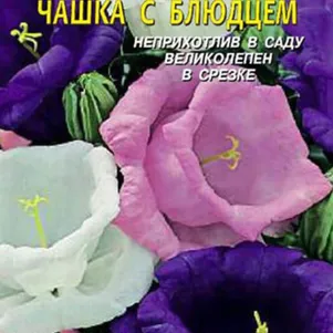 

Колокольчик Чашка с блюдцем средний 0,1 г, Плазменные семена