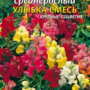 

Львиный зев Улыбка F2 среднерослый 0,1 г, Плазменные семена