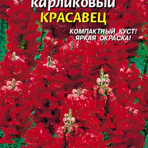 

Львиный зев Красавец карликовый 0,02 г, Плазменные семена
