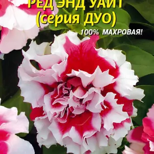 

Петуния Ред энд Уайт F1 (серия Дуо) 10 шт, Плазменные семена
