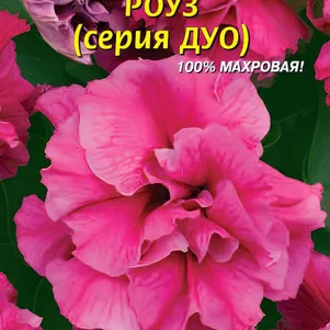

Петуния Роуз F1 (серия Дуо) 10 шт, Плазменные семена